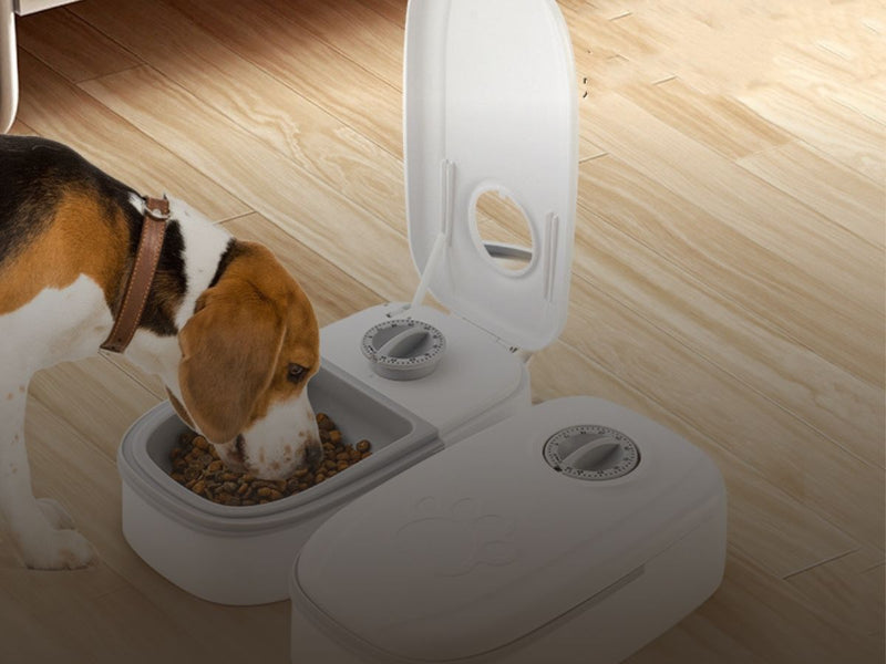 Pet Feeding & Hydration