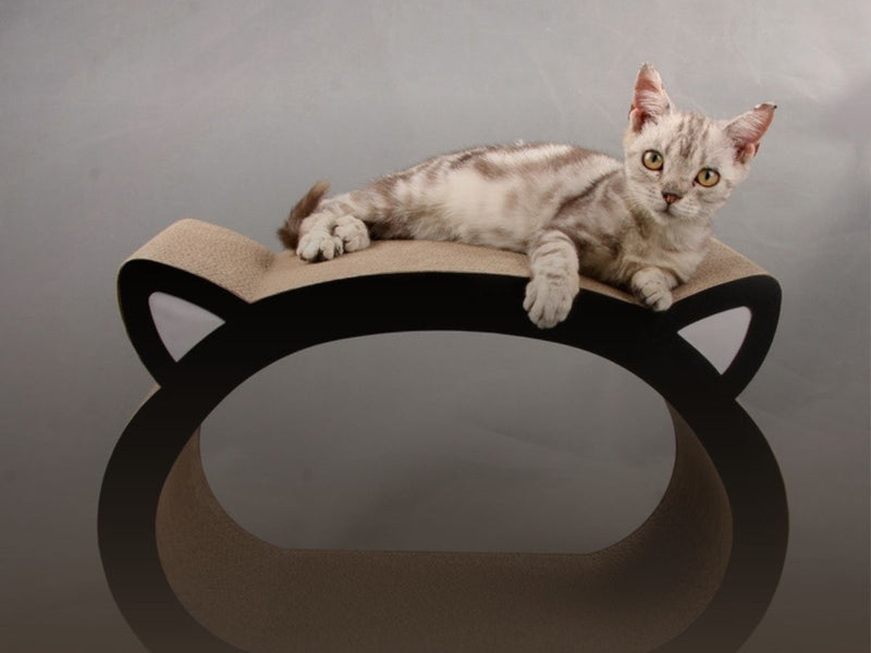 Pet Furniture
