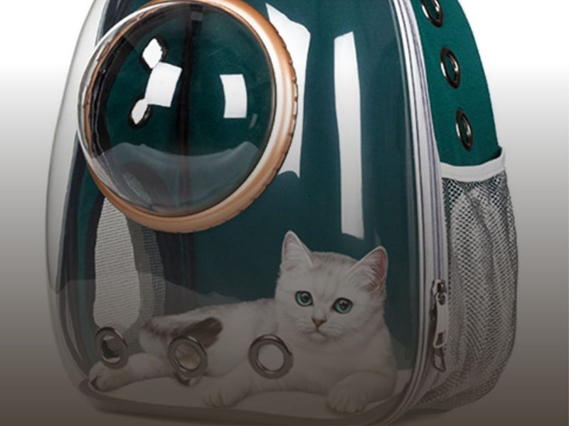 Pet Outdoor Supplies