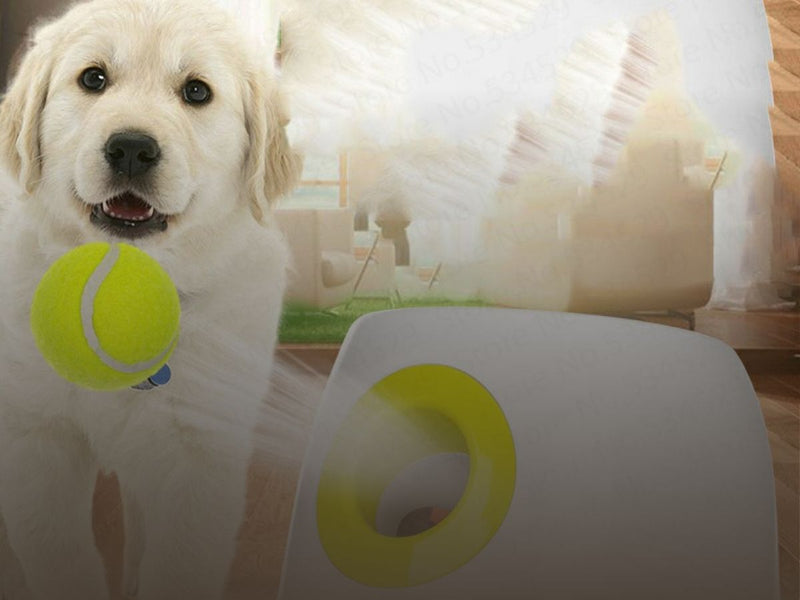 Pet Toys